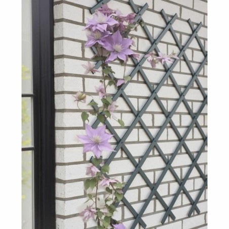 Recinzione da Giardino Nature NATURE Antracite Plastica
