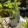 Vaso Autoirrigante Lechuza Grigio 40 x 40 x 56 cm LED