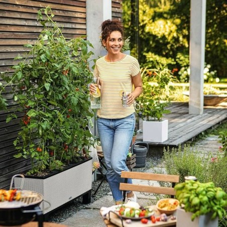 Vaso Autoirrigante Lechuza Grigio chiaro 100 x 32,5 x 34,5 cm Rettangolare