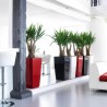 Vaso Autoirrigante Lechuza Rosso 39,5 x 39,5 x 75,5 cm polipropilene Plastica Rettangolare