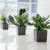 Vaso Autoirrigante Lechuza Marrone 50 x 50 cm polipropilene Plastica