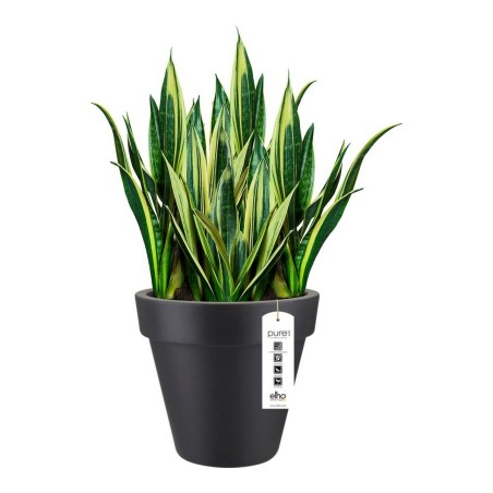 Vaso Elho 8403604042500 Antracite Ø 40 cm