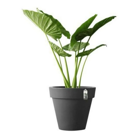 Vaso Elho 8403604042500 Antracite Ø 40 cm