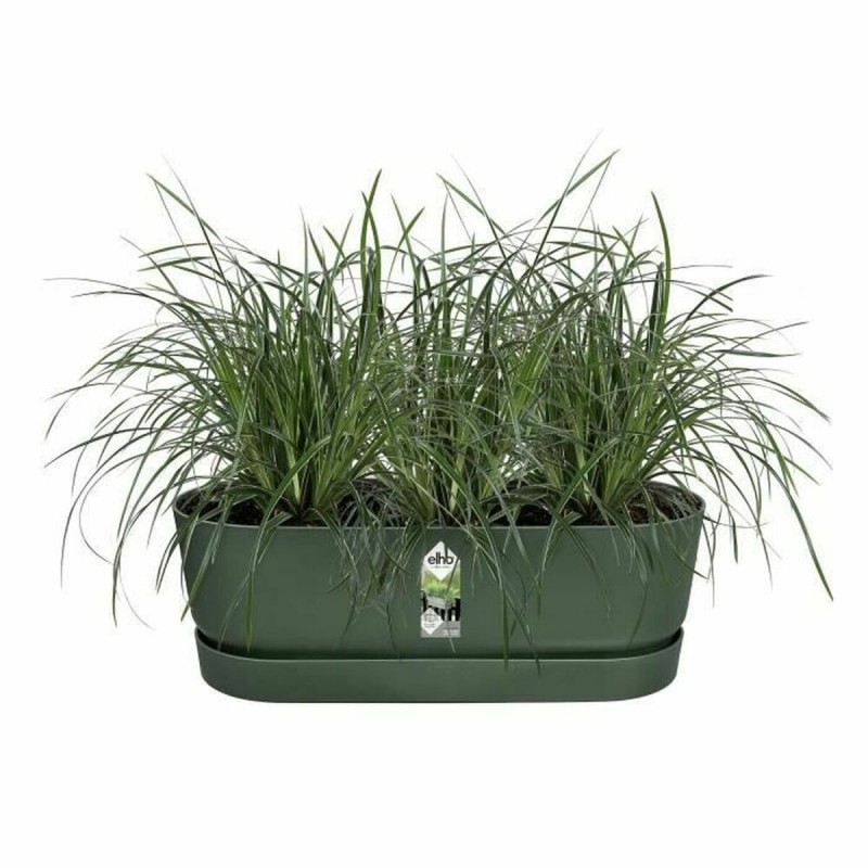 Vaso Elho Verde 21,2 x 52 x 19,4 cm Vaso Elho Verde 21,2 x 52 x 19,4 cm