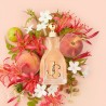 Profumo Donna Jimmy Choo CH017A02 EDP I Want Choo
