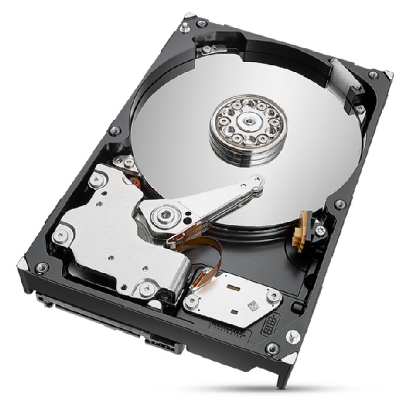 Hard Disk Seagate ST2000NT001 3,5" 2 TB 2 TB SSD 2 TB HDD