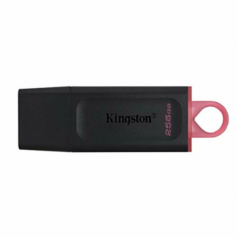 Memoria USB Kingston DTX/256GB Nero 256 GB