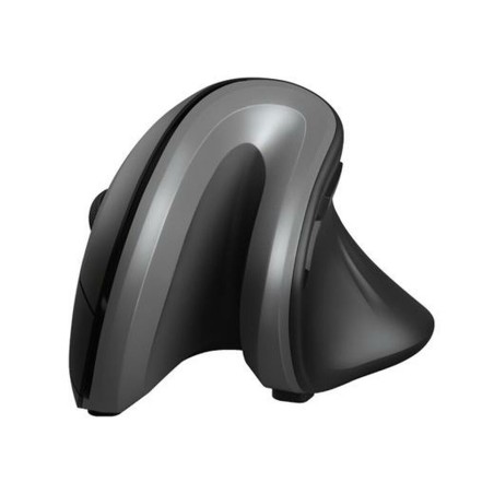 Mouse senza Fili Trust Verro Nero Grigio