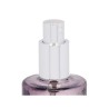 Diffusore Spray Per Ambienti Acorde L-519 L-519 Tè Chai 70 ml (12 Unità)