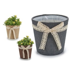 Vaso Ibergarden
