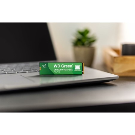 Hard Disk Western Digital WD Green SN3000 2 TB SSD