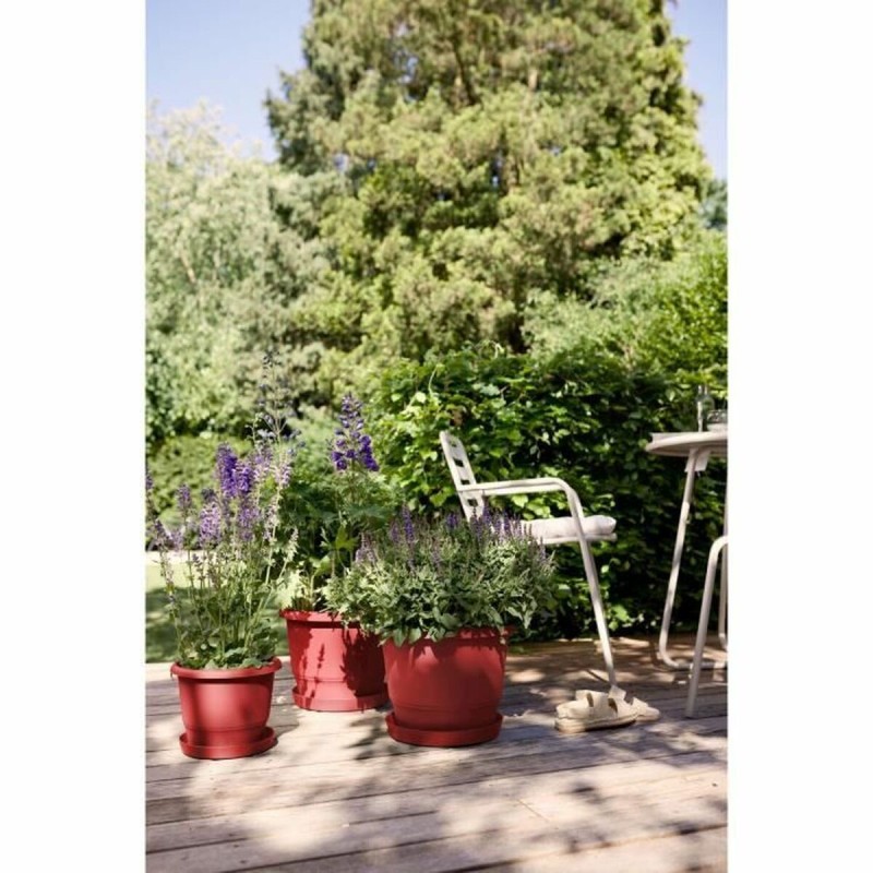 Vaso Elho rouge 35 x 34,5 x 26 cm Vaso Elho rouge 35 x 34,5 x 26 cm
