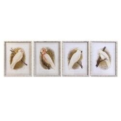 Tela DKD Home Decor 50 x 2,8 x 65 cm 50 x 65 x 2.8 cm Pappagallo Cottage (4 Pezzi)
