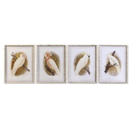 Tela DKD Home Decor 50 x 2,8 x 65 cm 50 x 65 x 2.8 cm Pappagallo Cottage (4 Pezzi)