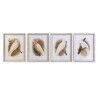 Tela DKD Home Decor 50 x 2,8 x 65 cm 50 x 65 x 2.8 cm Pappagallo Cottage (4 Pezzi)
