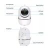 Videocamera di Sorveglianza Denver Electronics