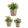 Set di Vasi Ibergarden Cónica Ø 14 cm Ø 22 cm Ø 17 cm Plastica 30 x 40 cm 3 Pezzi (3 Pezzi)