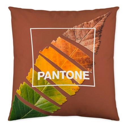 Fodera per cuscino Leaf Pantone Localization-B086JQ6G5Z Reversibile 50 x 50 cm