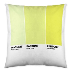Fodera per cuscino Ombre C Pantone Localization_B086JQZYZH Reversibile 50 x 50 cm