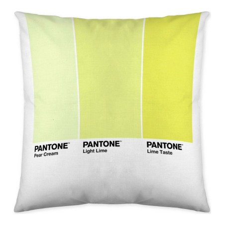 Fodera per cuscino Ombre C Pantone Localization_B086JQZYZH Reversibile 50 x 50 cm