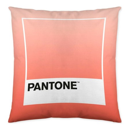 Fodera per cuscino Ombre B Pantone Localization-B086JQB7QD Reversibile 50 x 50 cm