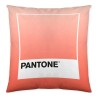 Fodera per cuscino Ombre B Pantone Localization-B086JQB7QD Reversibile 50 x 50 cm