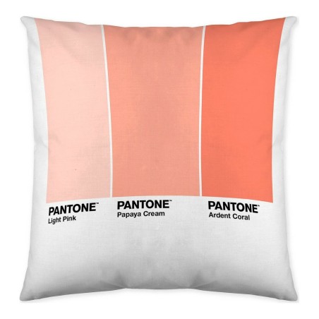 Fodera per cuscino Ombre B Pantone Localization-B086JQB7QD Reversibile 50 x 50 cm