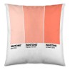 Fodera per cuscino Ombre B Pantone Localization-B086JQB7QD Reversibile 50 x 50 cm