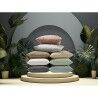 Federa Happy Home Lino Singolo