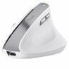 Mouse Ergonomico Ottico Trust 25398 Bianco 2400 dpi