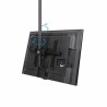 Supporto TV Startech FLATPNLCEIL         