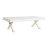Tavolino da Caffè DKD Home Decor 140 x 70 x 42 cm Metallo Legno di mango