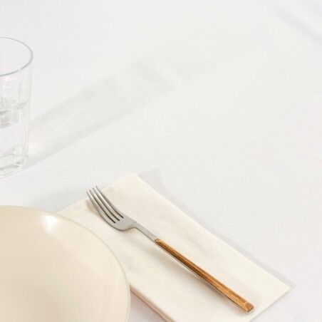 Tovaglia antimacchia Belum Liso Bianco 200 x 150 cm