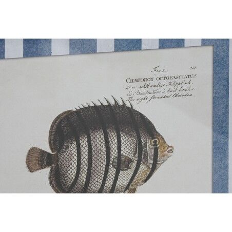Quadro Home ESPRIT Azzurro Pesce 40 X 2,5 X 55 cm (4 Unità)