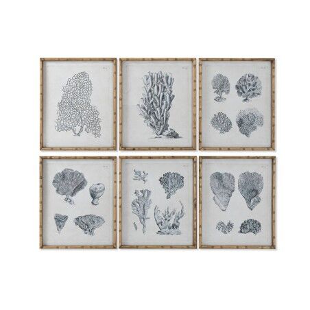 Quadro Home ESPRIT Grigio Mediterraneo 50 x 3 x 60 cm (6 Unità)