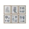 Quadro Home ESPRIT Grigio Mediterraneo 50 x 3 x 60 cm (6 Unità)