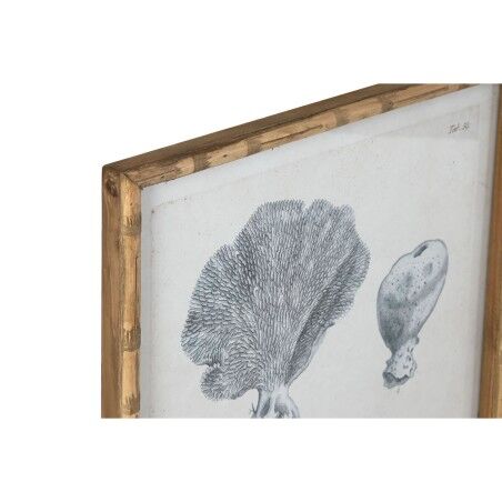 Quadro Home ESPRIT Grigio Mediterraneo 50 x 3 x 60 cm (6 Unità)