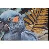 Quadro Home ESPRIT Pappagallo Tropicale Laccato 50 x 3,5 x 70 cm (2 Unità)