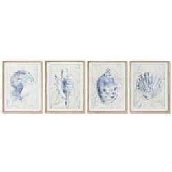 Quadro Home ESPRIT Mediterraneo Conchiglia 45 x 2,5 x 60 cm (4 Unità)