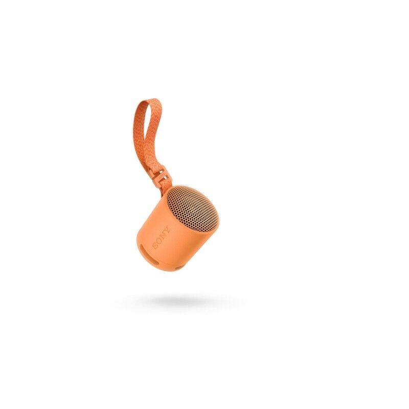 Altoparlante Bluetooth Portatile Sony SRSXB100D Arancio Altoparlante Bluetooth Portatile Sony SRSXB100D Arancio