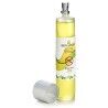 Diffusore Spray Per Ambienti Ibergarden 100ML SPRY Citronella 100 ml (12 Unità)