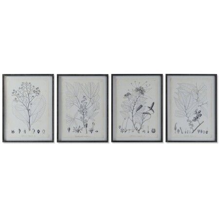 Quadro DKD Home Decor Moderno Piante botaniche 45 x 2,5 x 60 cm (4 Unità)