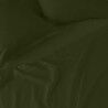 Lenzuolo con angoli HappyFriday BASIC Verde scuro 90 x 200 x 32 cm