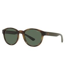 Occhiali da sole Uomo Ralph Lauren PH4176-500371 Ø 51 mm