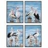 Quadro DKD Home Decor Uccello Mediterraneo (53 x 3,5 x 73 cm) (4 Unità)