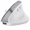 Mouse Ergonomico Ottico Trust 25399 Bianco 2400 dpi