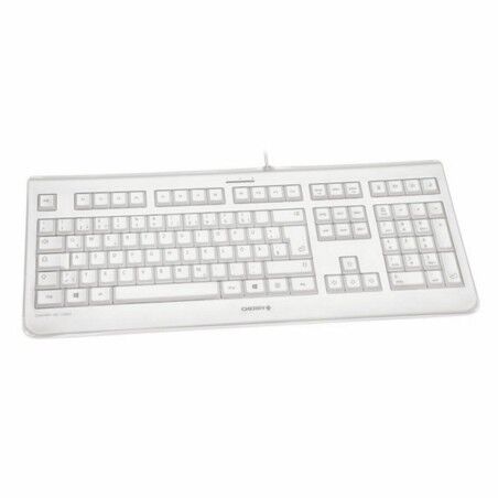 Tastiera Cherry JK-1068ES-0 Grigio Qwerty in Spagnolo QWERTY