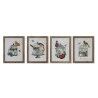 Quadro DKD Home Decor 34 x 2 x 44 cm Gabbia Shabby Chic (4 Pezzi)