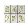Quadro Home ESPRIT Moderno Felce 50 x 2,5 x 65 cm (6 Unità)