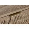 Cassettiera Home ESPRIT Rattan Abete Tropicale 52 x 35 x 100 cm